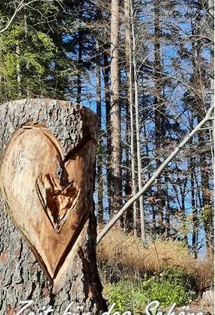 Das Onkel Fritz 3* Spital am Semmering