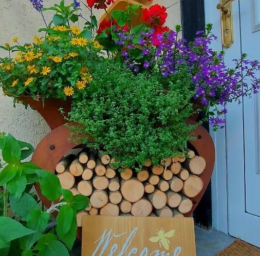 Onkel Fritz فندق